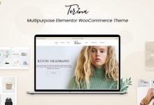 Terina v1.0.6.1 –多用途Elementor WooCommerce主题-学课SEO