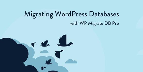 WP Migrate DB Pro v2.7.5无限制版 – WordPress数据库迁移插件