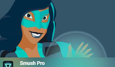 WP Smush Pro v3.21.0（已汉化）– WordPress图像优化插件