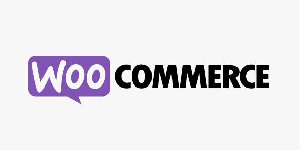 WooCommerce Instagram v4.6.1无限制版（已汉化） – WooCommerce在Instagram展示产品插件
