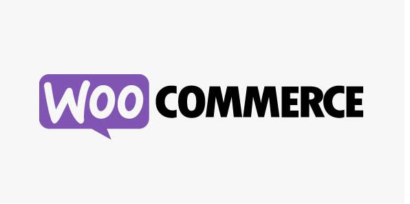 WooCommerce RedSys Gateway v27.1.4（已汉化）- WooCommerce Redsys支付网关插件