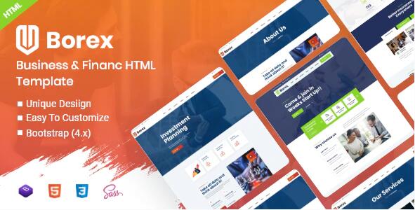 Borex v1.0 – 多用途业务的HTML5模板