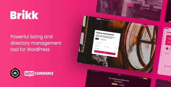 Brikk v2.8.0（已汉化） –WordPress目录和列表主题