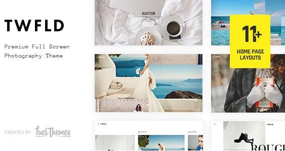 TwoFold v3.7.0无限制版–全屏摄影WordPress主题