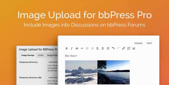 Image Upload for bbPress Pro v2.1.33无限制版（独家汉化版）