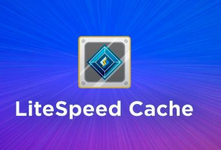 LiteSpeed Cache v3.6.4(已汉化) – WordPress缓存加速插件-学课SEO