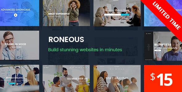 Roneous v2.0.6无限制版 – WordPress多功能主题