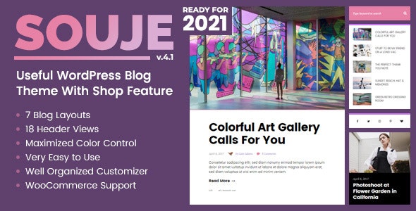 Souje v5.0.1无限制版–WordPress博客主题