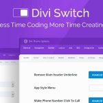 Divi Switch Pro v4.0.18破解版 - 完全自定义您的Divi网站-学课技术网