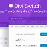 Divi Switch Pro v4.0.19破解版 - 完全自定义您的Divi网站-学课技术网