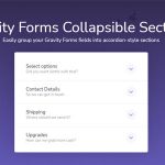 Gravity Forms Collapsible Sections v1.2.8-学课技术网