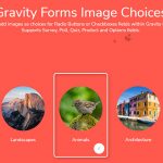 Gravity Forms Image Choices  Add-On v1.3.60-学课技术网