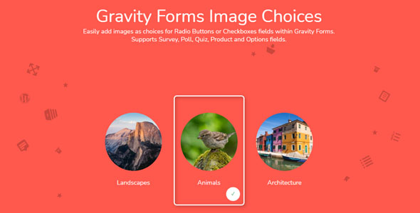 Gravity Forms Image Choices  Add-On v1.6.11