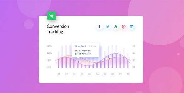 WooCommerce Conversion Tracking Pro v1.1.1无限制版