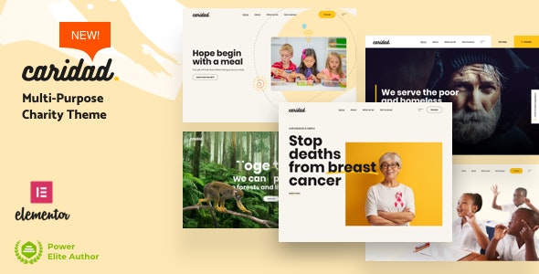 Caridad v26.0 无限制版 – WordPress慈善主题