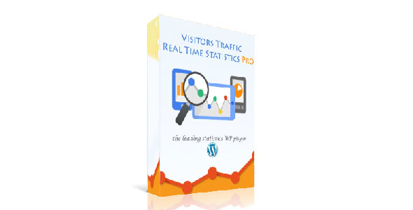 Visitor Traffic Real Time Statistics Pro v11.4 – WordPress访客流量实时统计专业版