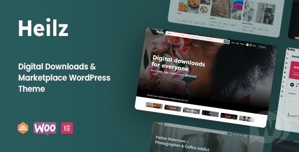 Heilz v2.3.0（已汉化80%） – Digital Goods WordPress 主题