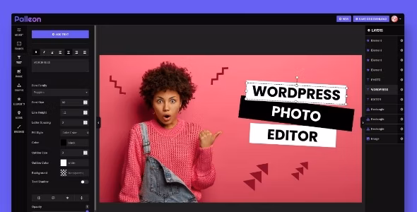 Palleon v3.8.4（已汉化） – WordPress 图像编辑器