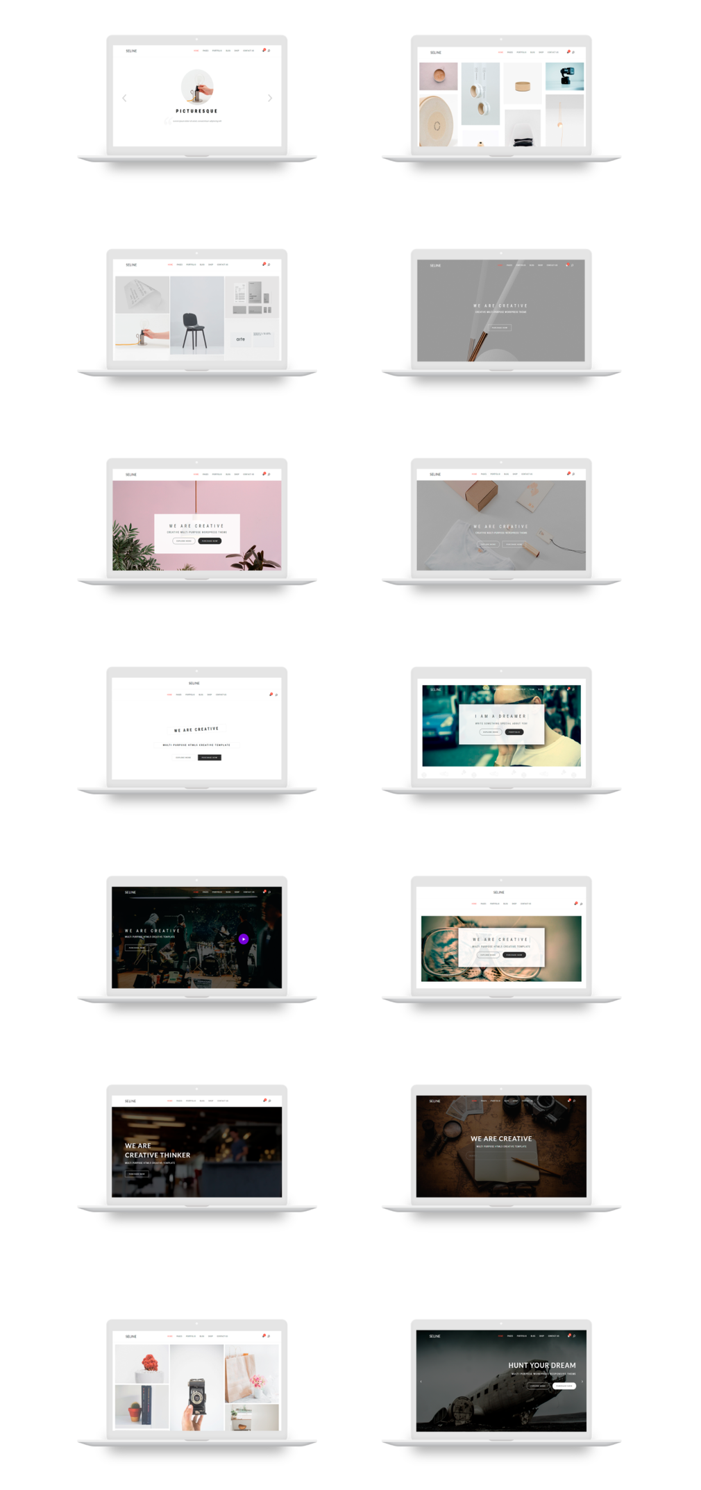 Seline v1.1.4 – 创意摄影和作品集 WordPress 主题插图(1)
