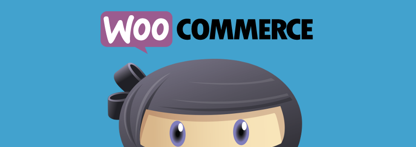 WPAdverts + Pro Extensions v2.2.8 – 使用 WooCommerce 插件  + 附加组件接受付款