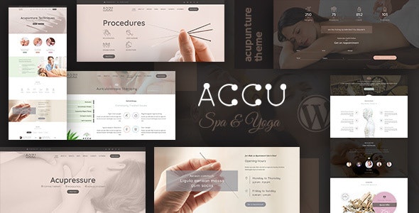 Accu v3.5 – 医疗保健、按摩 WordPress 主题 Accu