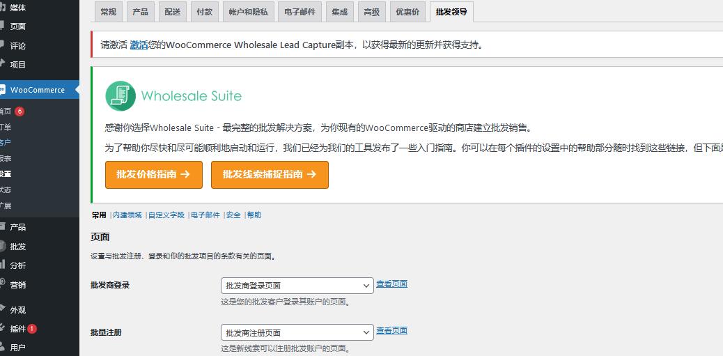 Wholesale Lead Capture Plugin for WooCommerce v1.17.2（已汉化） – 批发潜在客户获取插件插图