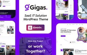 Gigas v1.0 - WordPress SaaS Theme-学课技术网