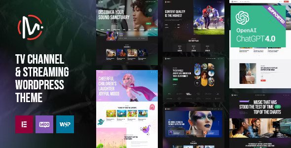 MediaFlex v1.3 – 电视频道和流媒体 WordPress 主题
