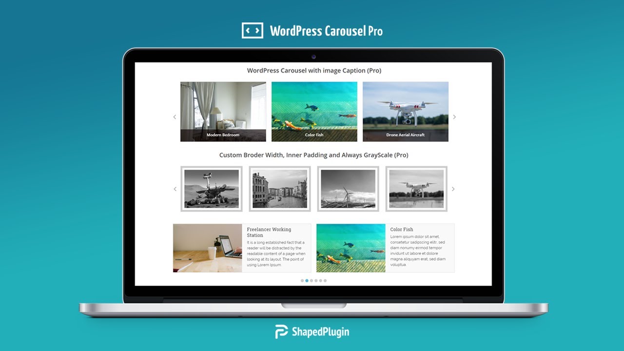 WP Carousel Pro v4.2.0（已汉化） – WordPress旋转木马、滑块和图库插件